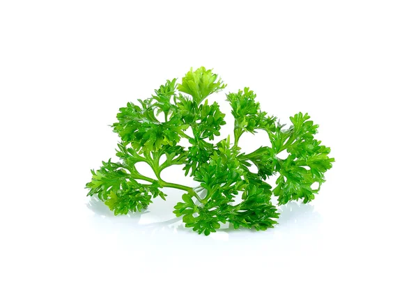 Parsley isolated on the white background — Stock Photo, Image