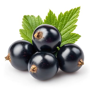 Parlak yeşil yaprakların arasına yerleşmiş taze kuşüzümlü kuşüzümlerin temiz beyaz arka planda sunduğu detaylı bir makro görüntüsü.