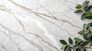 Hassas altın damarlar ve köşesinde birkaç yeşil yaprak bulunan beyaz mermer yüzeyin yakın görüntüsü lüks ve doğal bir estetik yaratıyor.