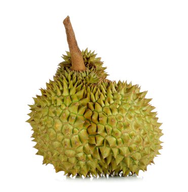 Beyaz arka plan üzerinde izole durian