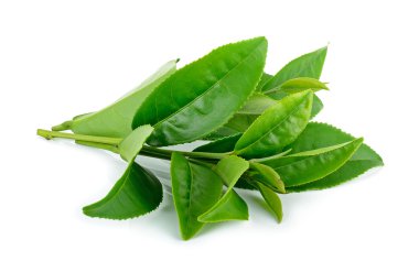 Beyaz arka plan üzerinde izole çay yaprakları