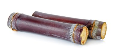 Şeker kamışı beyaz arka plan üzerinde izole