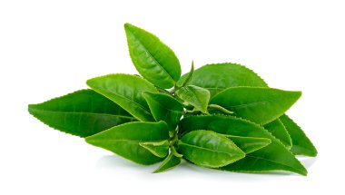 Beyaz arka plan üzerinde izole çay yaprakları