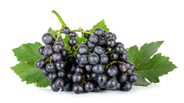 Beyaz arka plan üzerinde izole yaprak üzüm