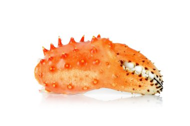 pençe Alaskan Kral carb izole beyaz arka planda