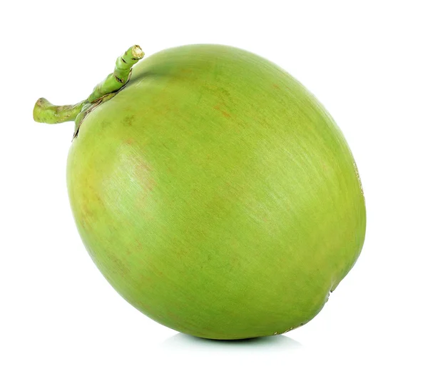 Noce di cocco verde sullo sfondo bianco — Foto Stock
