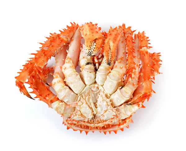 Alaskan king crab in isolierten weißen Hintergrund — Stockfoto