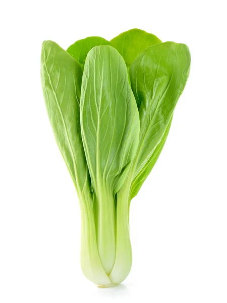 Bok choy vegetal isolado no fundo branco — Fotografia de Stock