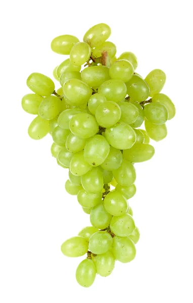 Grape isolerad på en vit bakgrund — Stockfoto