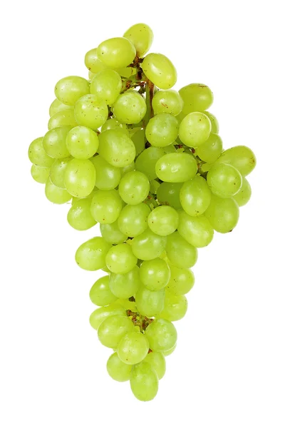 Grape isolerad på en vit bakgrund — Stockfoto