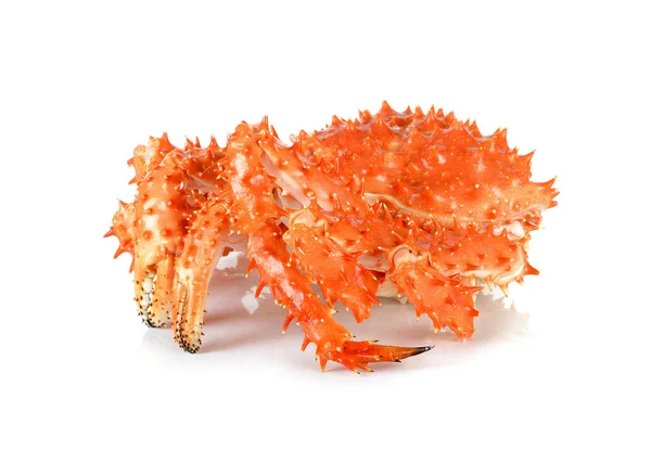 Alaskan king crab in geïsoleerde witte achtergrond — Stockfoto