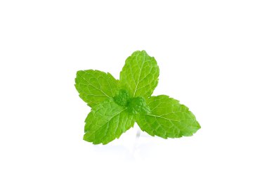 Beyaz arka plan üzerinde izole biber nane