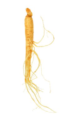 Beyaz arka plan üzerinde izole ginseng