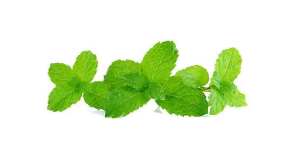 Pepper mint isolated on the white background — Stock Photo, Image