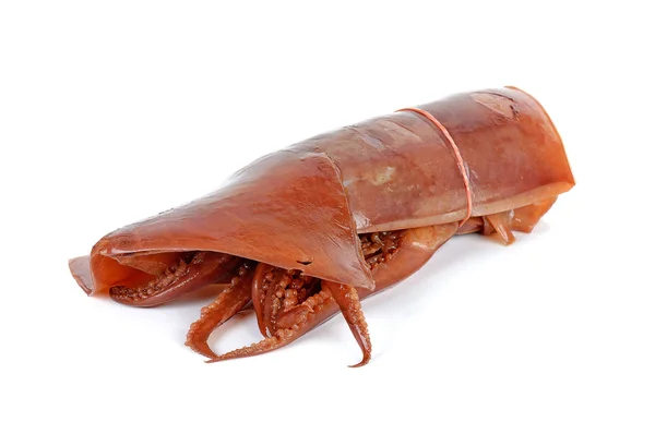 Geniet van squid geïsoleerd op de witte achtergrond — Stockfoto