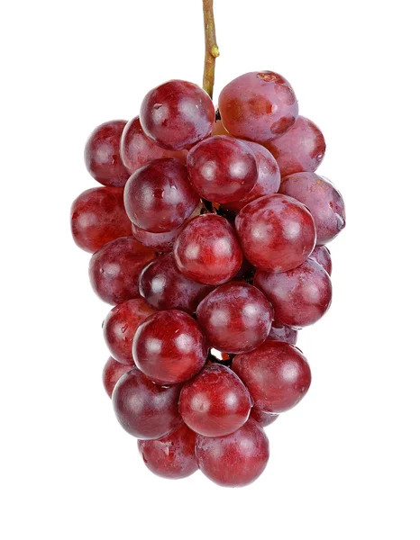 白い背景で隔離赤いブドウ — ストック写真