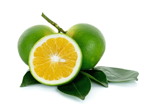 Citrus sinensis beyaz arkaplanda izole edilmiş. — Stok fotoğraf