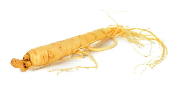 Beyaz arka plan üzerinde izole ginseng