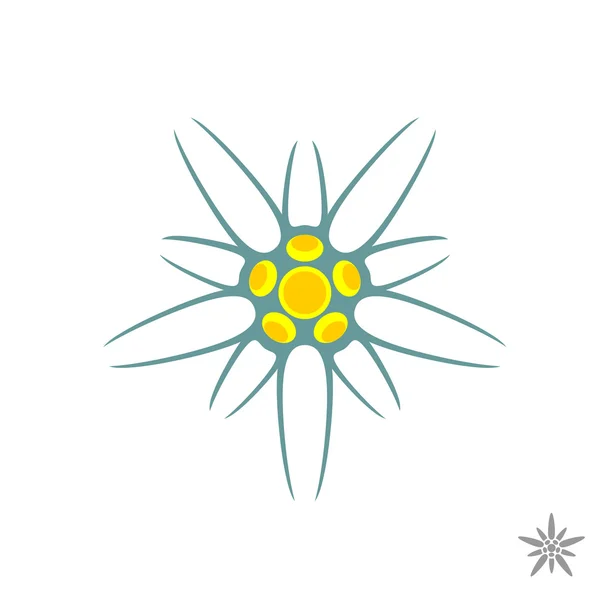 에 델 바이스 꽃 간단한 로고 — 스톡 벡터
