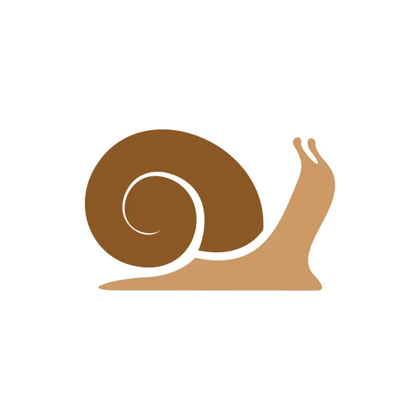 Modèle de logo escargot — Image vectorielle