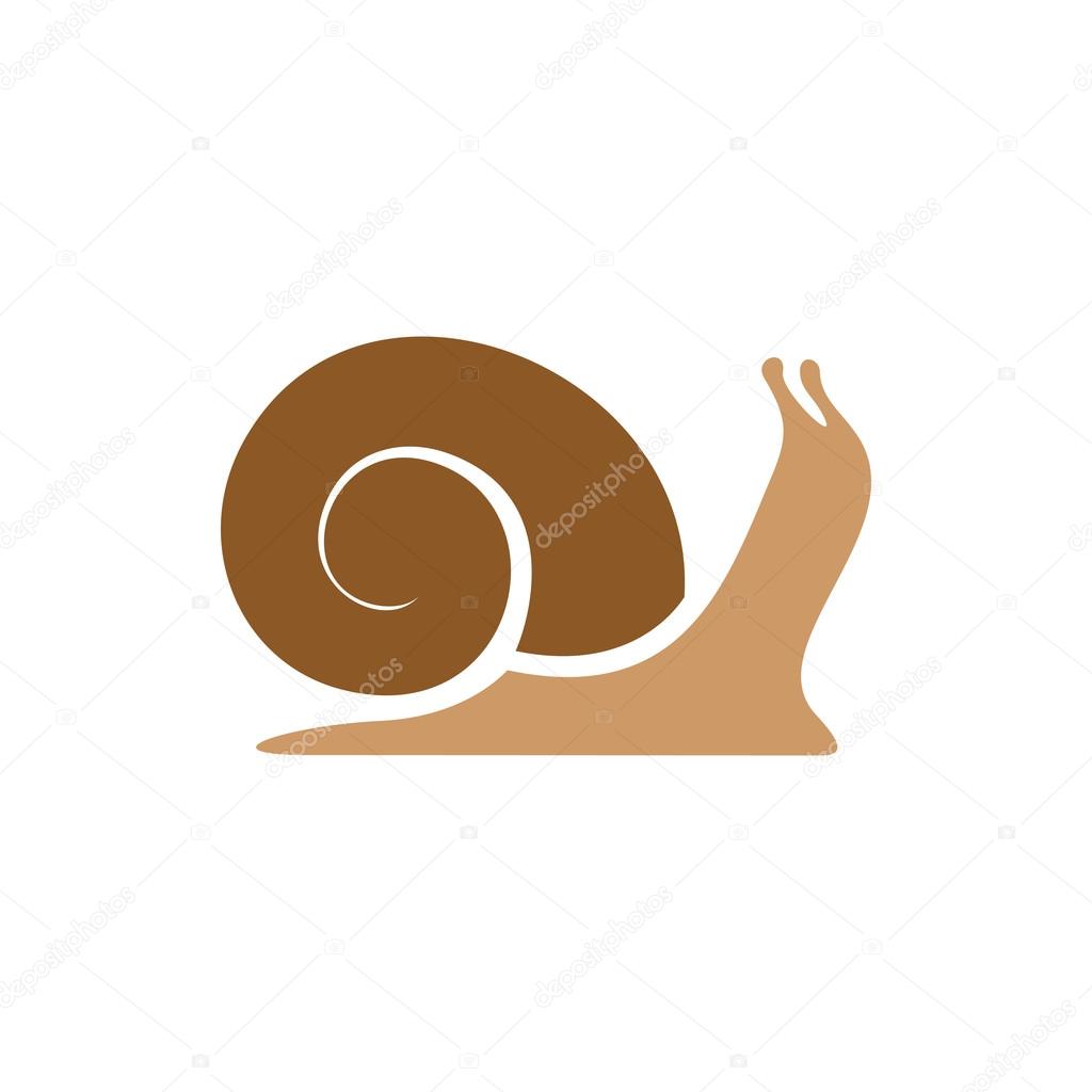 Snail logo template. Simple flat colors silhouette.