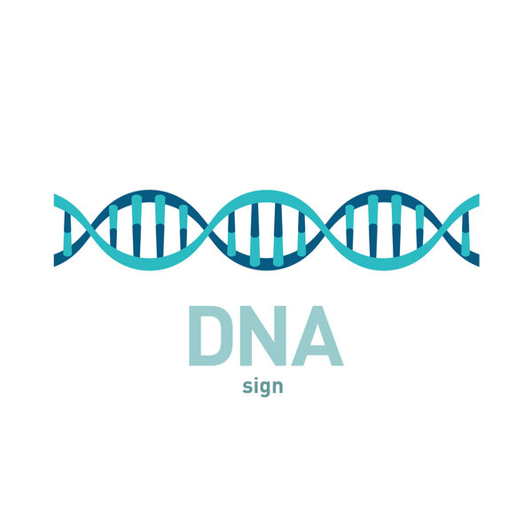 DNA spiral vector