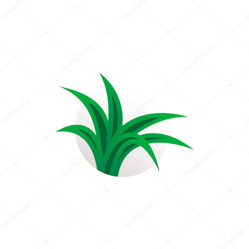 Simple aloe vera plant logo. Herbal sign.
