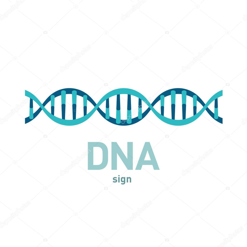 DNA spiral vector