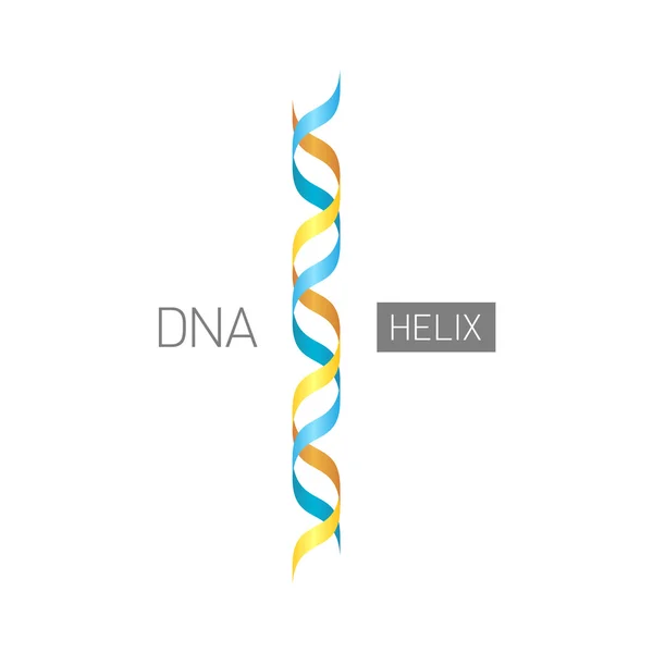Logo du symbole ADN — Image vectorielle
