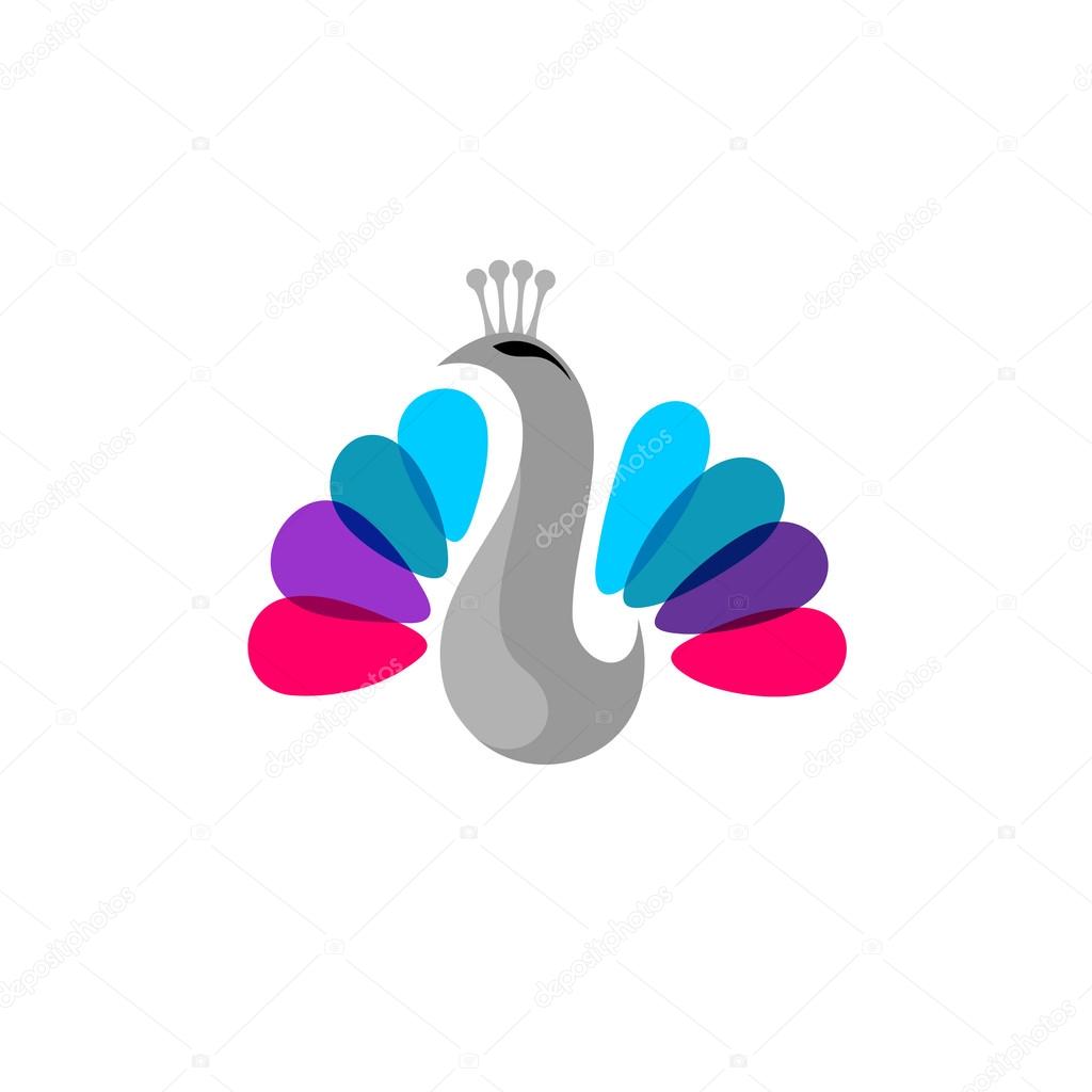 Peacock colorful logo template. Overlayed tail feathers on white background