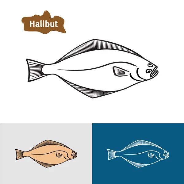 Halibut fish sumple — Stock Illustration Halibut fish sumple Vector Graphics