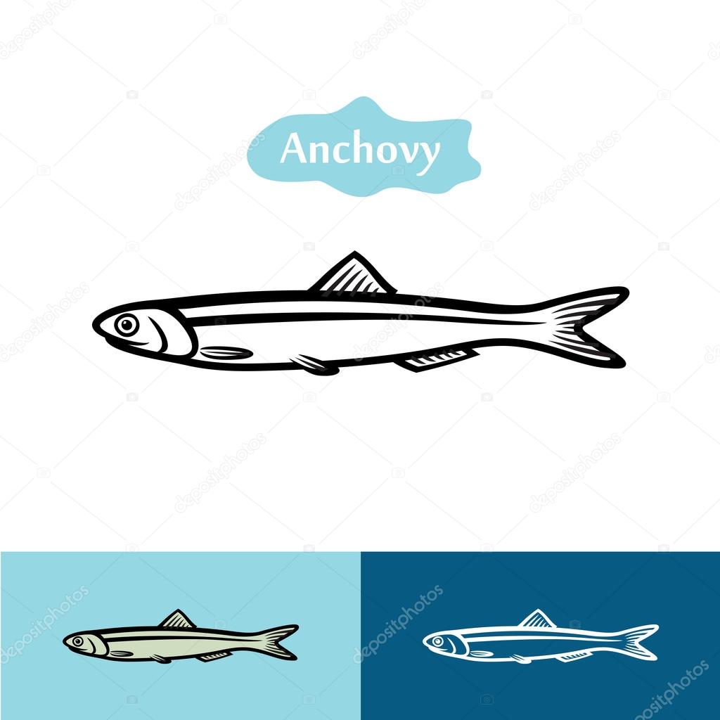 Anchovy vector silhouette logo
