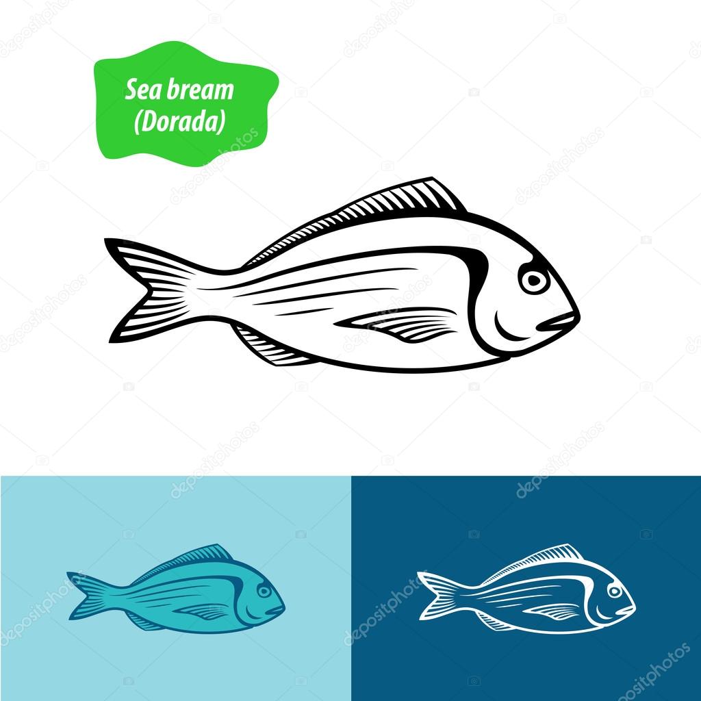 Sea bream silhouette on color background