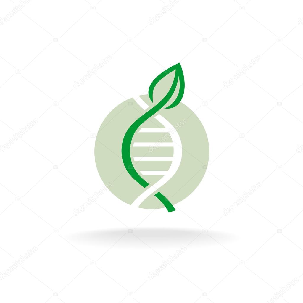 Plant nature genetic engineering symbol. Green leaf with stalk and DNA elements logo.