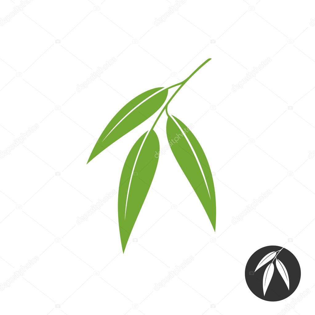 Eucalyptus leaves simple vector silhouette. Green and black color versions.