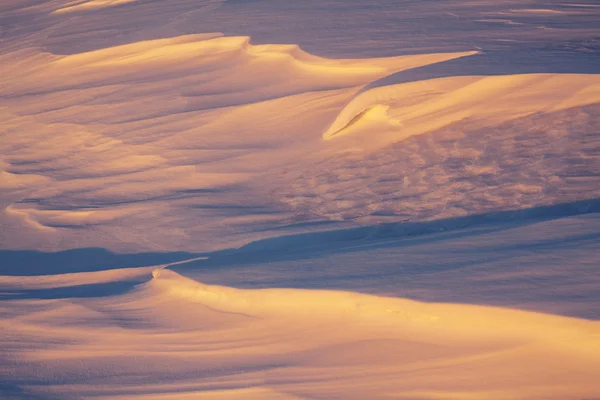 夕日に照らされて雪のドリフト ロイヤリティフリーのストック写真