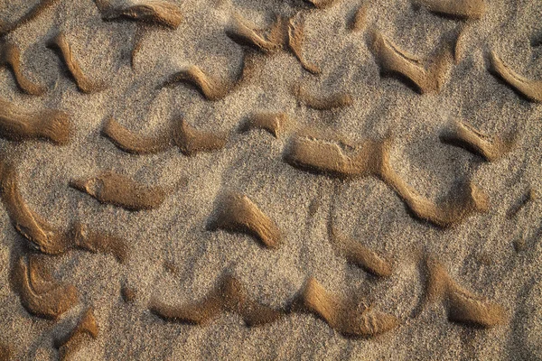 Golvende zandige textuur close-up — Stockfoto