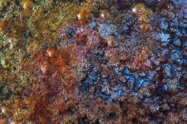 çok renkli çamurlu su