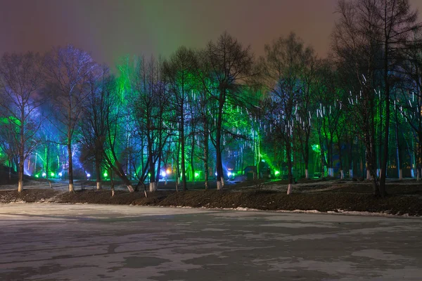 Het Park is versierd met feestelijke verlichting — Stockfoto