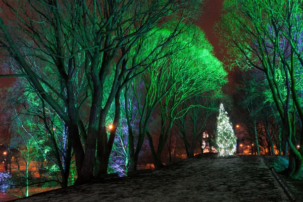 Christmas tree decorated with lights in the Park Royalty Free Stock Images