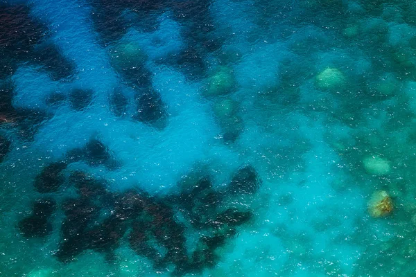 Sea bottom closeup — Stock Photo, Image