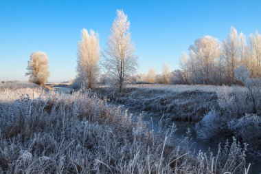 soğuk sabah manzara