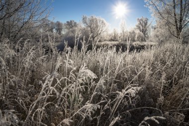 Kışın güneşli bir gün