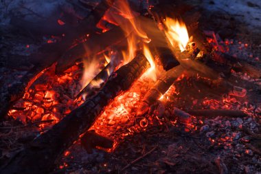 bir kamp ateşi içinde orman portre kömürleri