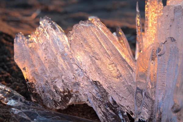 icicles lit by the evening sun