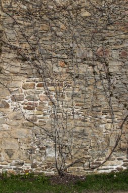 Arka plan doku ve desen bir taş duvar