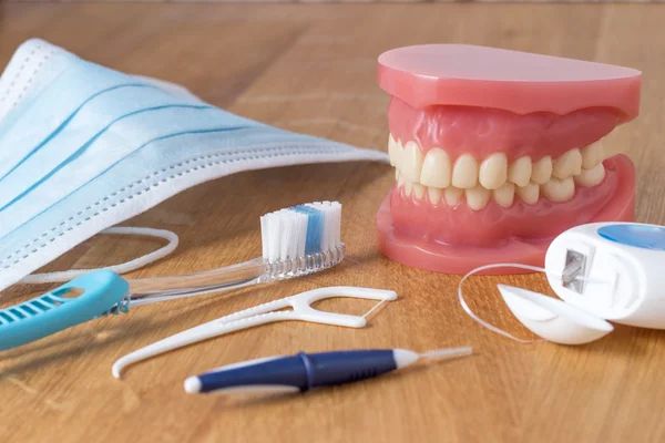 Set of false teeth with cleaning tools — Stock Photo, Image