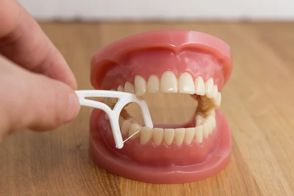 Человек чистит фальшивые зубы зубной нитью — стоковое фото
