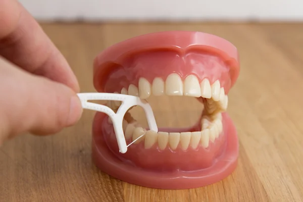 Man cleaning false teeth with dental floss — Stock Photo, Image