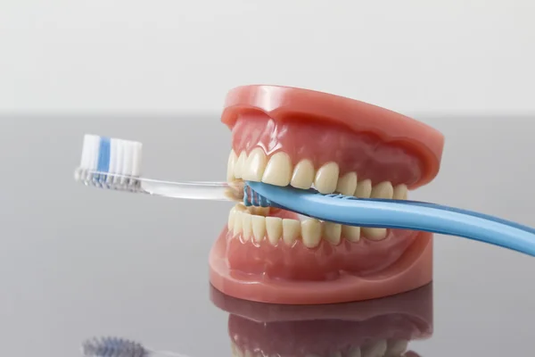 Zubní hygiena a čistota koncepce — Stock fotografie